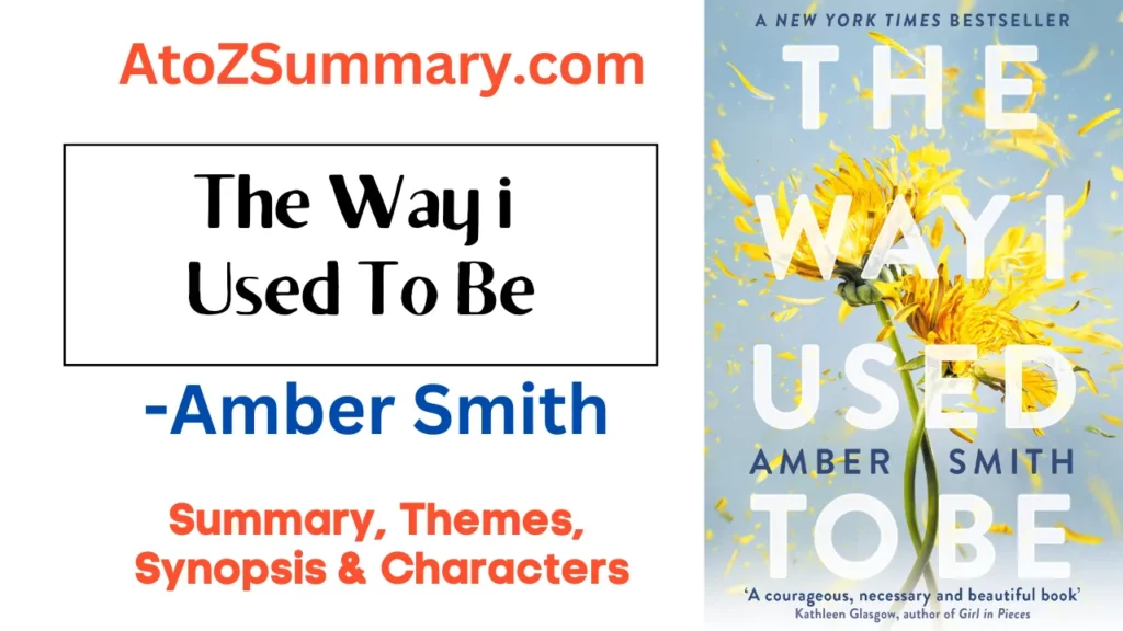 The Way I Used To Be Summary,Themes, Synopsis & Characters [by Amber Smith]