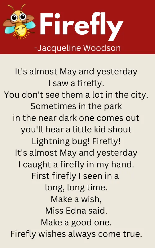 Firefly Poem Summary & Analysis